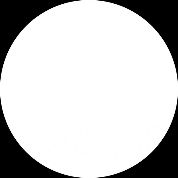 leahsoroush